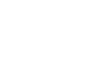 SC-LandWhale